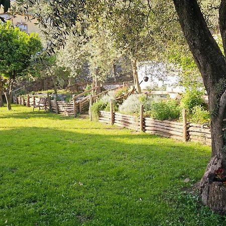 ויקו אקוונסה Ninfea Apartment מראה חיצוני תמונה